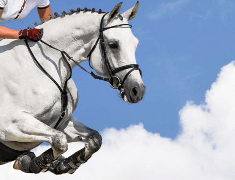 Breast Issues in Horse Riding